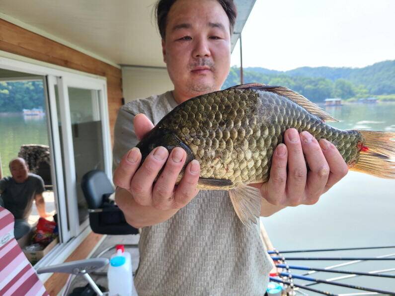 배수기 사짜대물 송전지 수원좌대 (유료터정보 - 유료터점주조황)