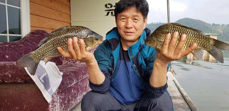 43cm 연일 대물터져 송전지 수원좌대 (유료터정보 - 유료터점주조황)