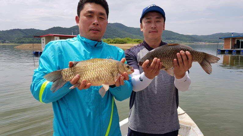 42cm대물 두마리 허리급 조황 송전지 수원좌대 (유료터정보 - 유료터점주조황)