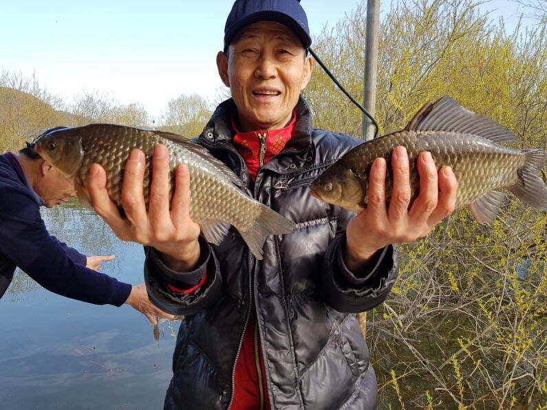 대물들의 묵직한 손맛이 시작된 송전지 수원좌대 (유료터정보 - 유료터점주조황)