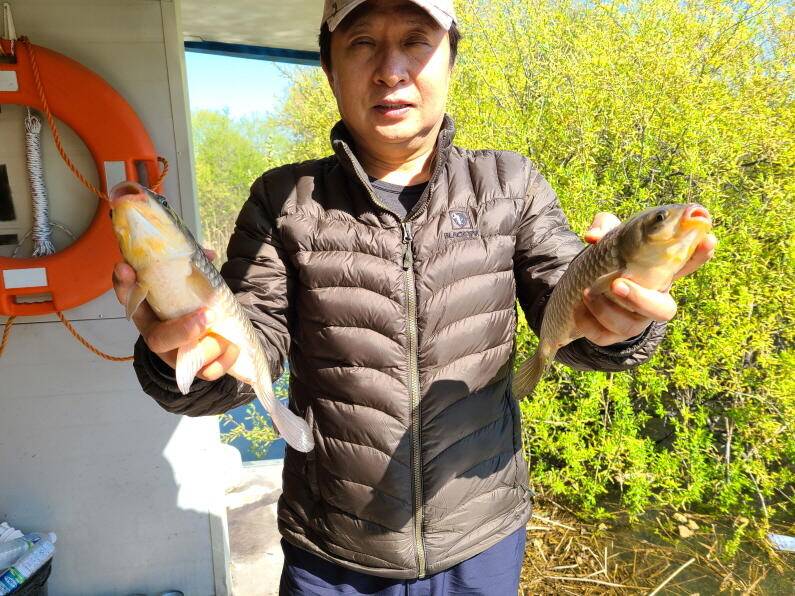 마릿수의 손맛 송전지 수원좌대 (유료터정보 - 유료터점주조황)