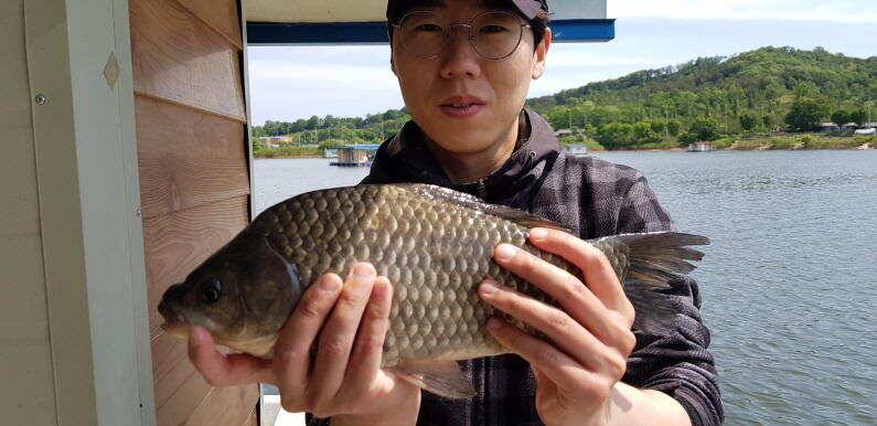 44cm대물급터져 송전지 수원좌대 (유료터정보 - 유료터점주조황)