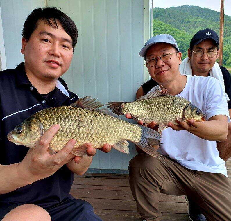 6월의 4짜 대물 송전지 미성집 좌대 (유료터정보 - 유료터점주조황)