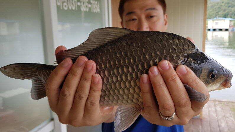 하루에 4짜 두마리 (유료터정보 - 유료터점주조황)