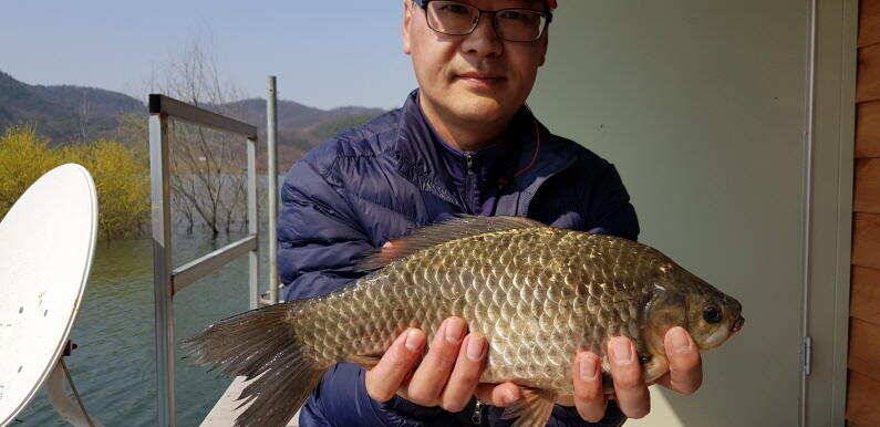 대물들의 묵직한 손맛이 시작된 송전지 수원좌대 (유료터정보 - 유료터점주조황)