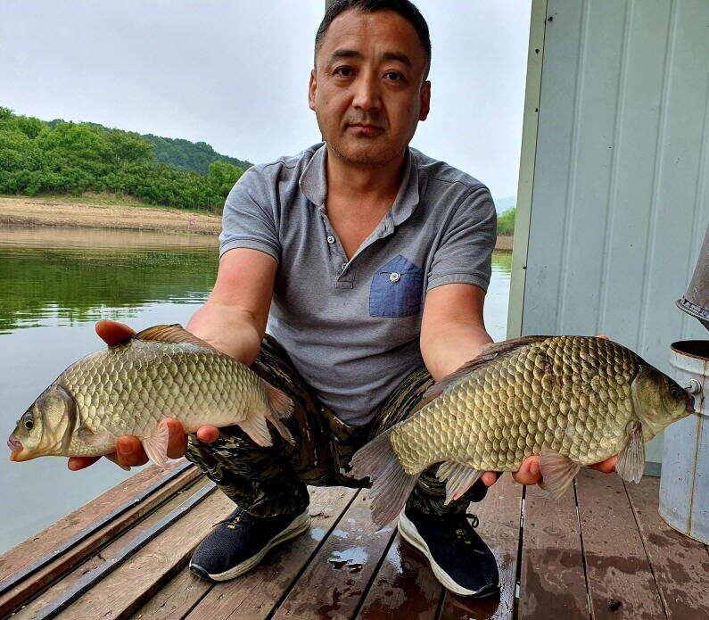 꾸준한 조황을 보이는 송전지 미성집 좌대 (유료터정보 - 유료터점주조황)
