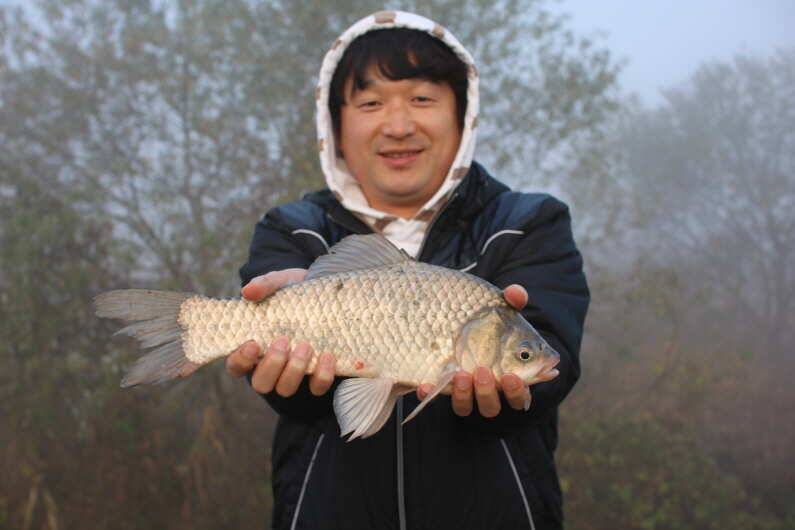 4짜 1000마리를 위하여 (유료터정보 - 유료터점주조황)