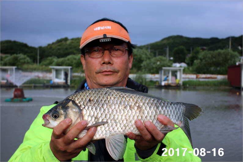 토종 4짜들 입질이 빈번합니다 (유료터정보 - 유료터점주조황)