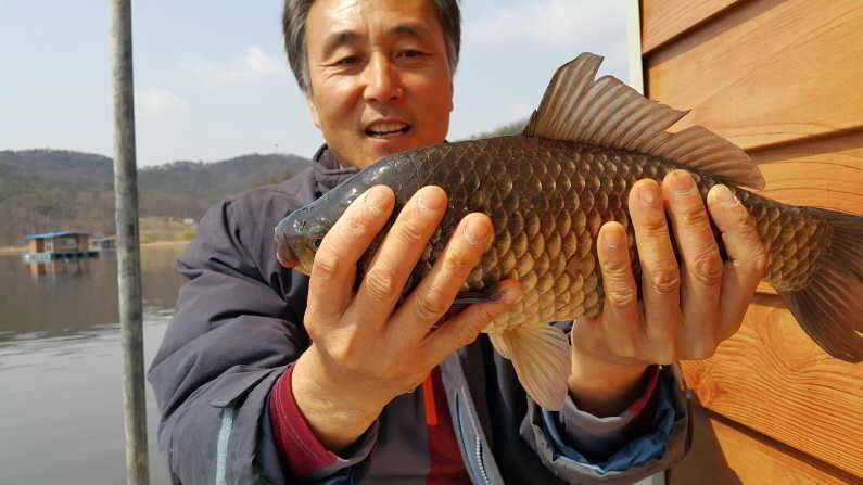 산란특수 대물 송전지 수원좌대 (유료터정보 - 유료터점주조황)