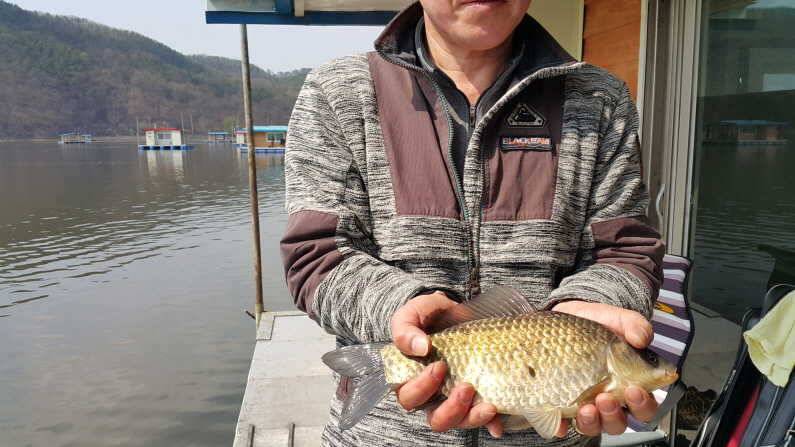 산란특수 대물 송전지 수원좌대 (유료터정보 - 유료터점주조황)