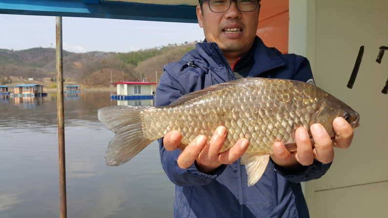 산란특수 대물 송전지 수원좌대 (유료터정보 - 유료터점주조황)
