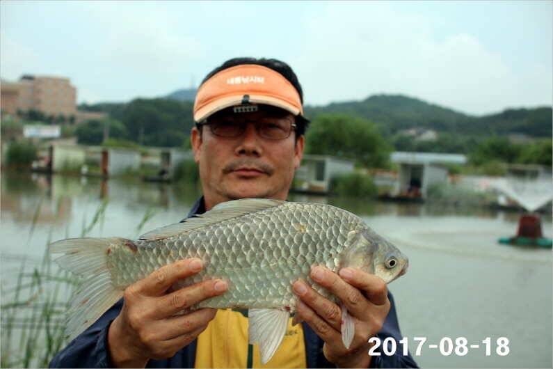 또 한번 토종 4짜급 1톤 방류 (유료터정보 - 유료터점주조황)