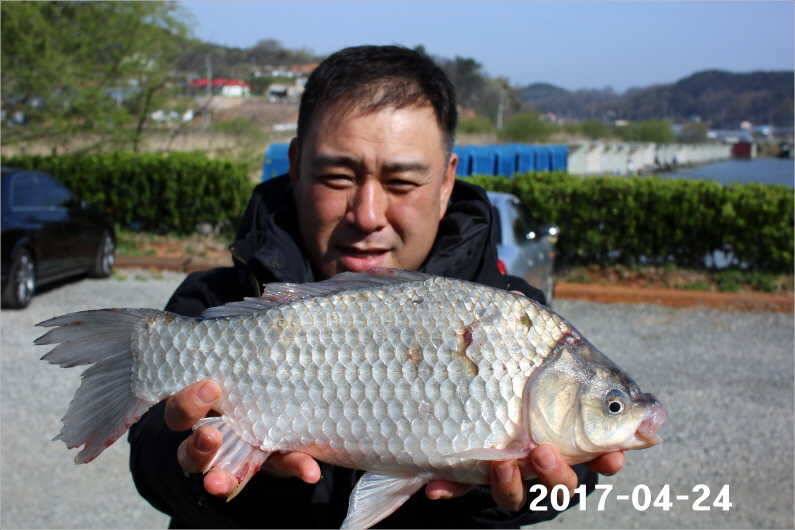 1박 4짜 5마리 (유료터정보 - 유료터점주조황)
