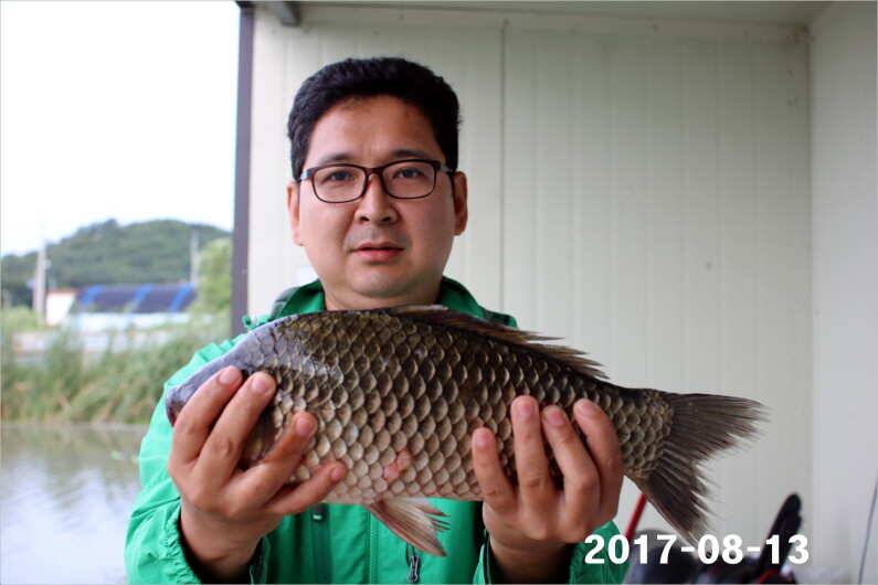 토종 4짜급 1톤 방류 (유료터정보 - 유료터점주조황)