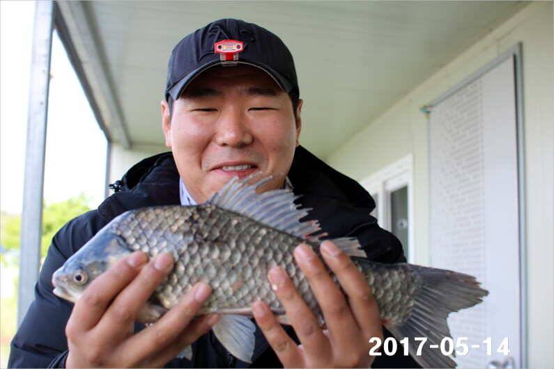 주말 4짜 17마리 (유료터정보 - 유료터점주조황)