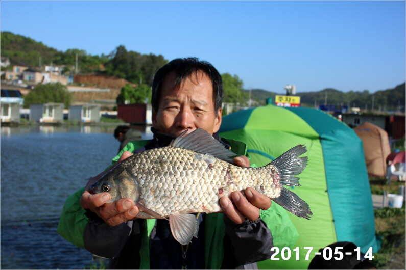 주말 4짜 17마리 (유료터정보 - 유료터점주조황)