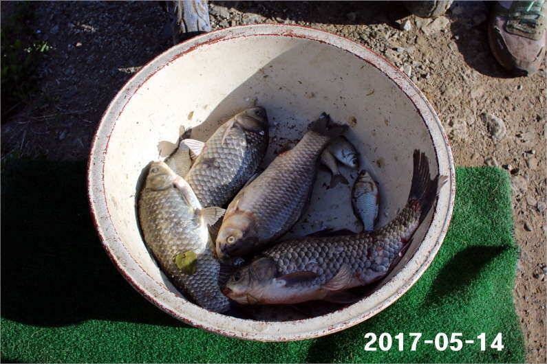 주말 4짜 17마리 (유료터정보 - 유료터점주조황)