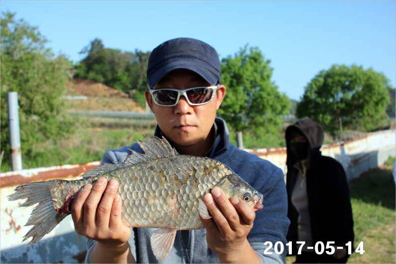 주말 4짜 17마리 (유료터정보 - 유료터점주조황)