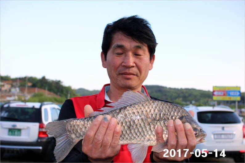 주말 4짜 17마리 (유료터정보 - 유료터점주조황)