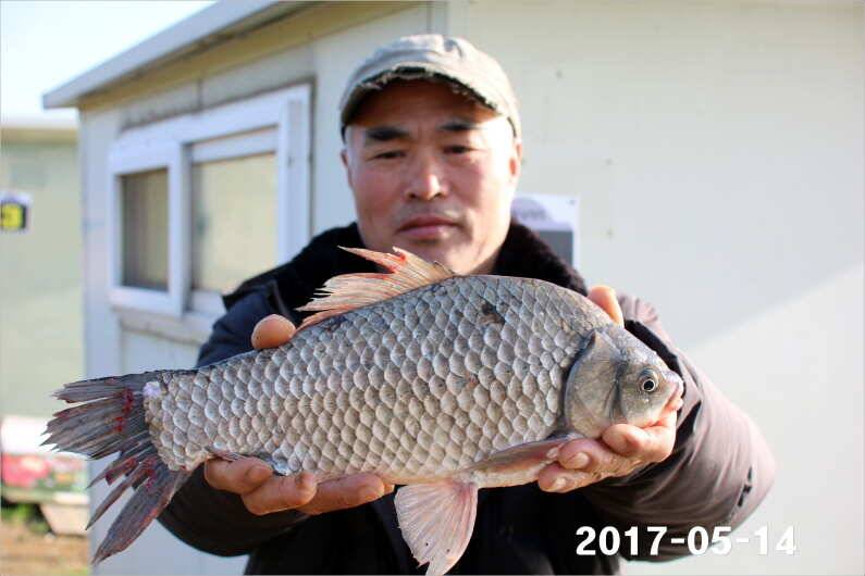 주말 4짜 17마리 (유료터정보 - 유료터점주조황)