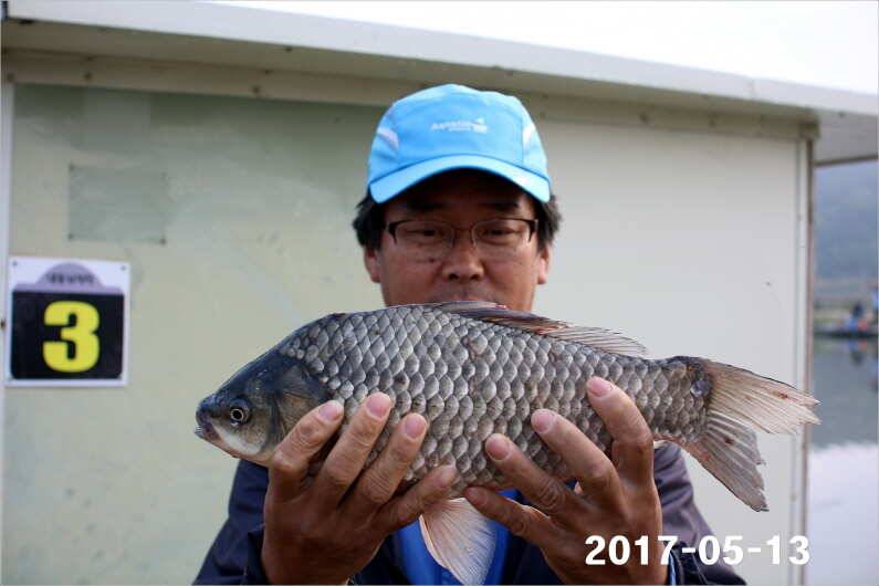 주말 4짜 17마리 (유료터정보 - 유료터점주조황)