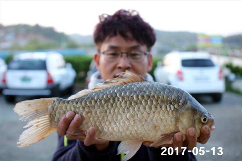 주말 4짜 17마리 (유료터정보 - 유료터점주조황)