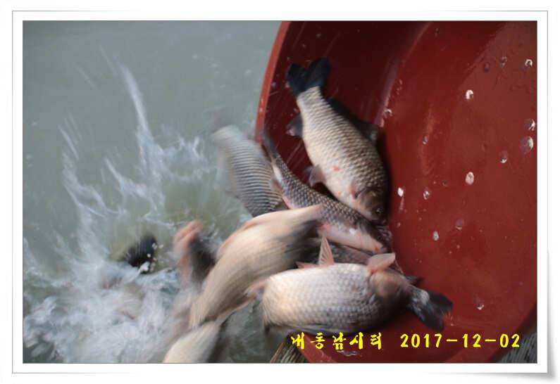 따뜻한 겨울 물낚시 (유료터정보 - 유료터점주조황)