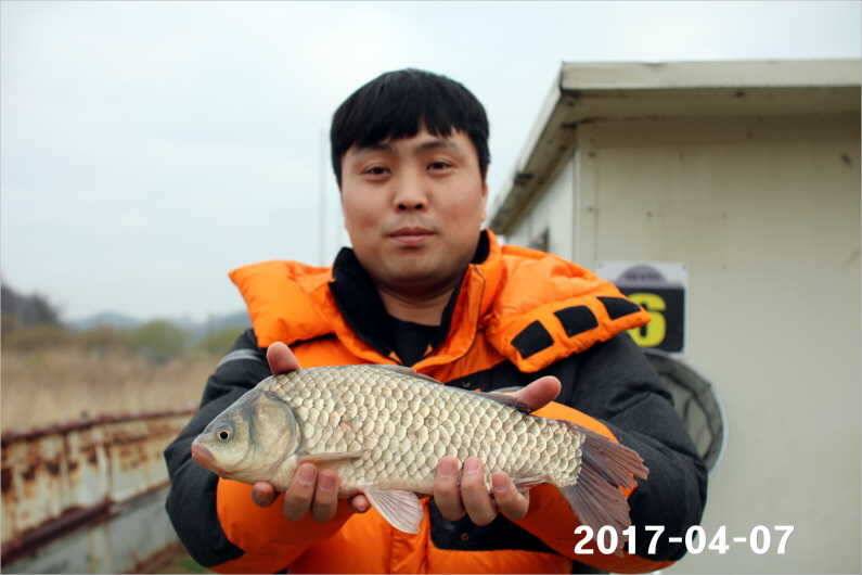 4짜와 마릿수 (유료터정보 - 유료터점주조황)