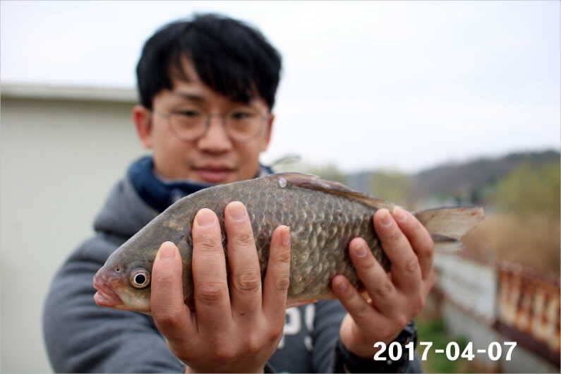 4짜와 마릿수 (유료터정보 - 유료터점주조황)