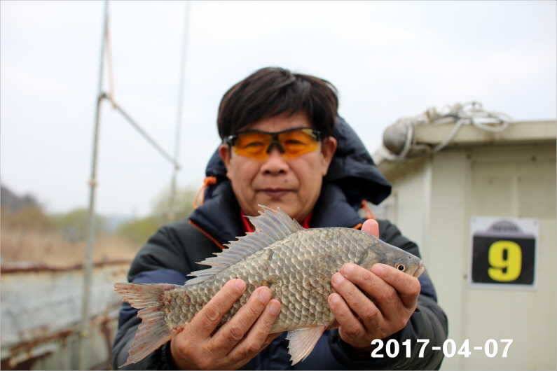 4짜와 마릿수 (유료터정보 - 유료터점주조황)