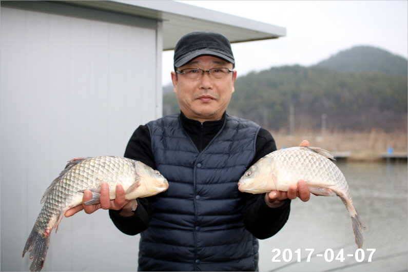 4짜와 마릿수 (유료터정보 - 유료터점주조황)