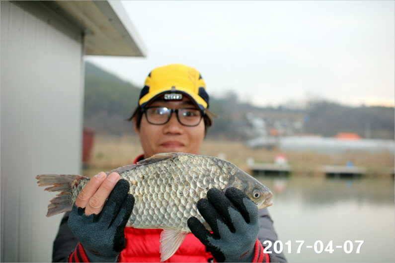 4짜와 마릿수 (유료터정보 - 유료터점주조황)