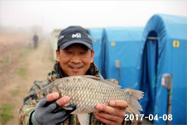 4짜와 마릿수 (유료터정보 - 유료터점주조황)