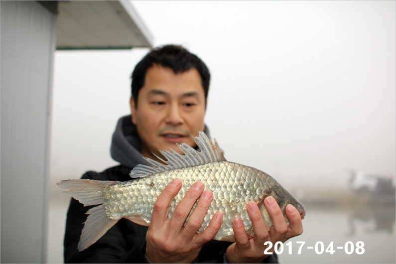 4짜와 마릿수 (유료터정보 - 유료터점주조황)