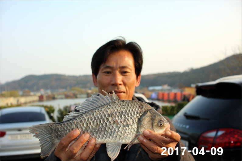 4짜와 마릿수 (유료터정보 - 유료터점주조황)