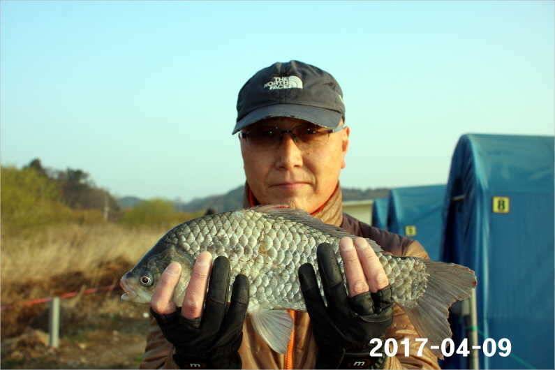 4짜와 마릿수 (유료터정보 - 유료터점주조황)