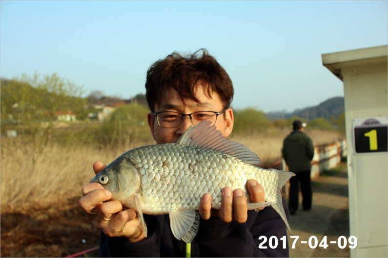 4짜와 마릿수 (유료터정보 - 유료터점주조황)