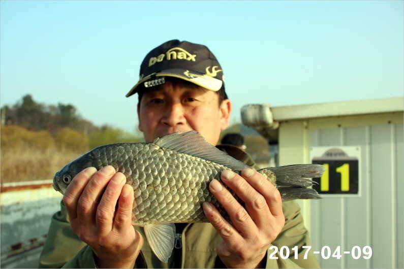 4짜와 마릿수 (유료터정보 - 유료터점주조황)
