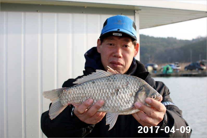4짜와 마릿수 (유료터정보 - 유료터점주조황)