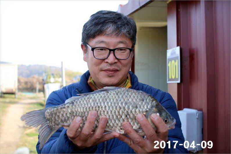 4짜와 마릿수 (유료터정보 - 유료터점주조황)
