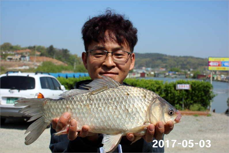 1박 4짜3마리씩 (유료터정보 - 유료터점주조황)
