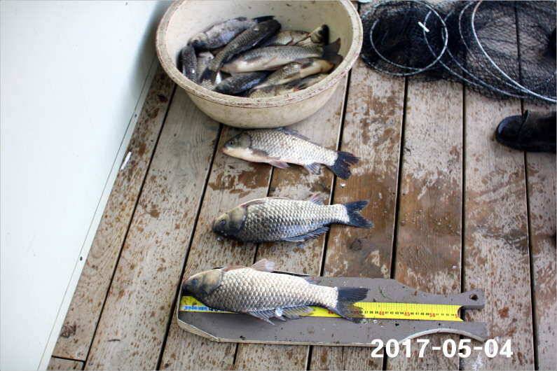 1박 4짜3마리씩 (유료터정보 - 유료터점주조황)