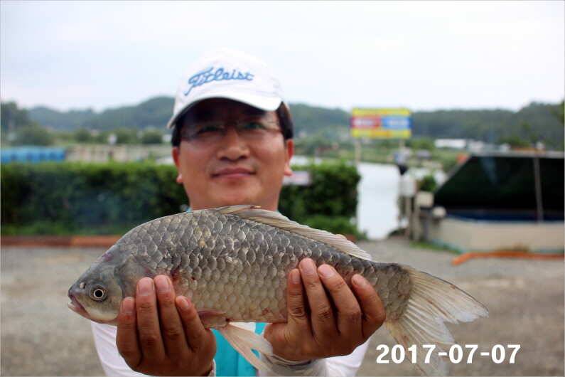 4주년 감사 이벤트 (유료터정보 - 유료터점주조황)