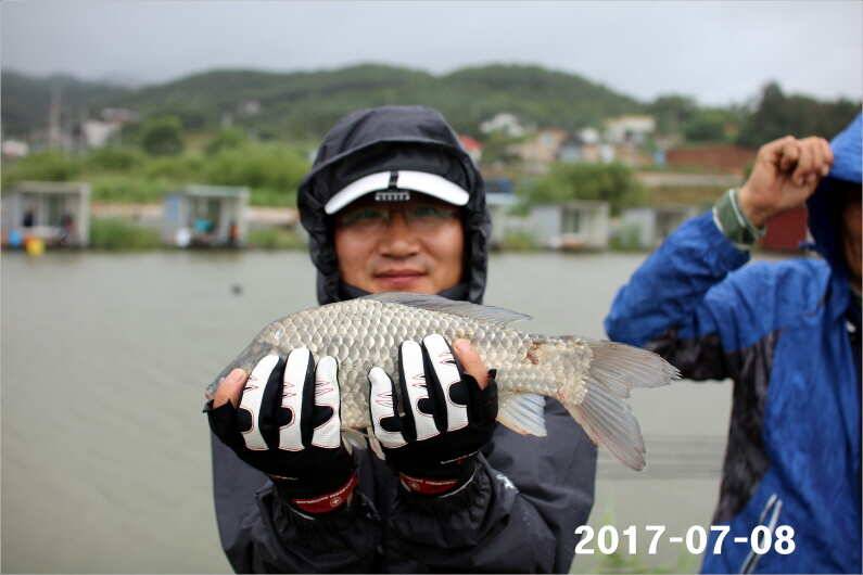 4주년 감사 이벤트 (유료터정보 - 유료터점주조황)