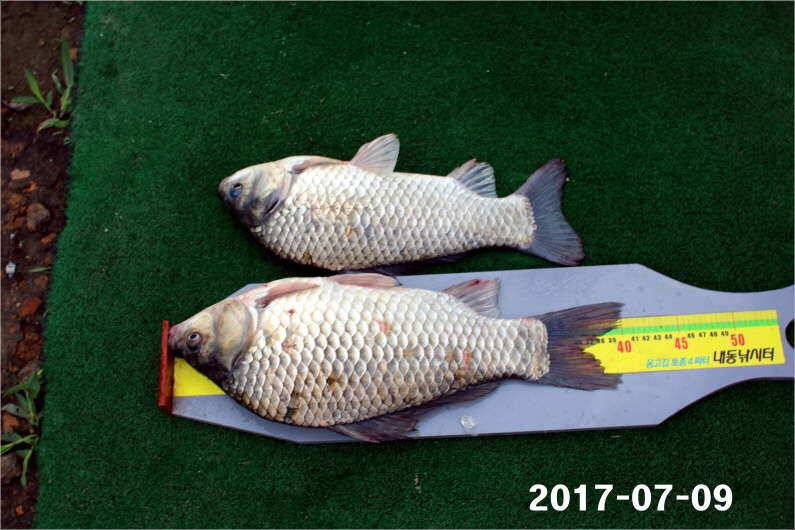 4주년 감사 이벤트 (유료터정보 - 유료터점주조황)