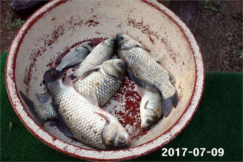 4주년 감사 이벤트 (유료터정보 - 유료터점주조황)