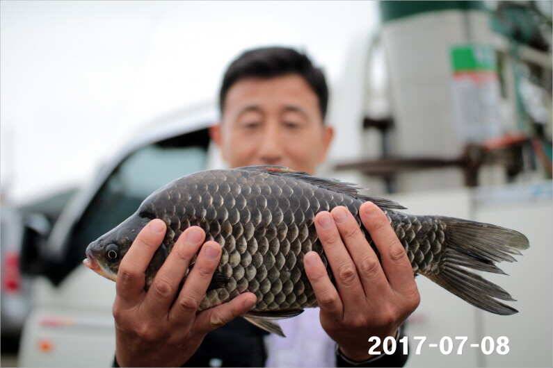 4주년 감사 이벤트 (유료터정보 - 유료터점주조황)
