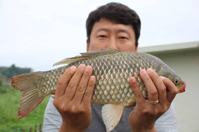 5주년 기념 이벤트 1일차 이모조모 (유료터정보 - 유료터점주조황)