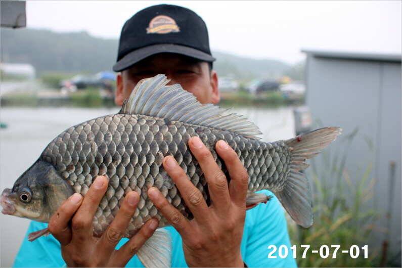 4짜 마릿수 조황 (유료터정보 - 유료터점주조황)