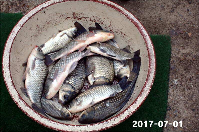 4짜 마릿수 조황 (유료터정보 - 유료터점주조황)